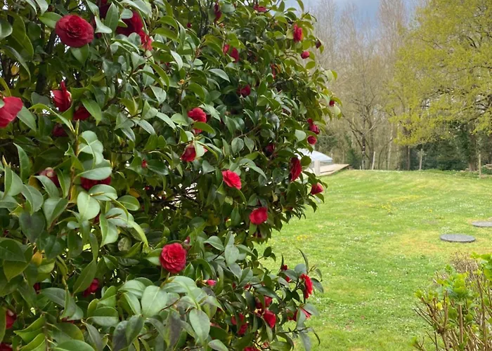 Des Mottes * Saint-Jean-de-Beugne